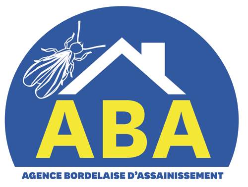 Pourquoi faire un traitement préventif contre les termites en Gironde ?